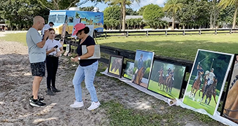 Equine Art for sale at Sunshine Meadows